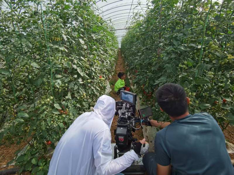 修文县产品宣传视频拍摄公司进阶指南，助力品牌抢占传播高地